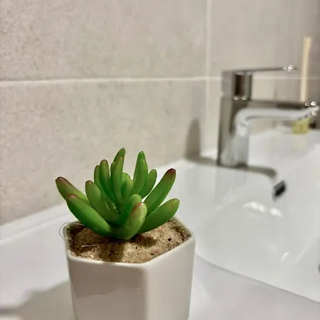 Escapada Perfecta En Centro De Y 1a Linea De Playa