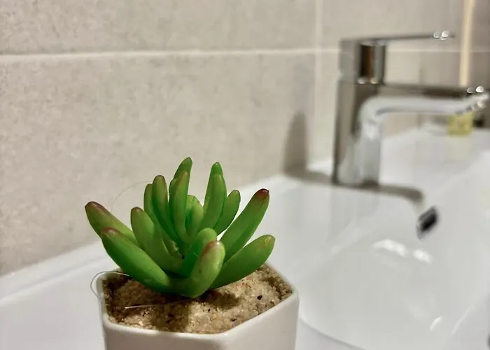 Escapada Perfecta En Centro De Y 1a Linea De Playa